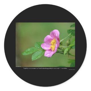 Nature Of Love Wild Rose Spring Storm Beauty Classic Round Sticker