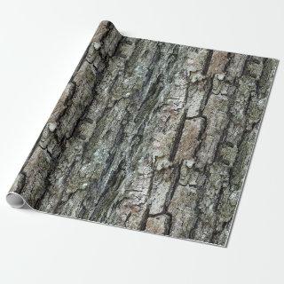 Nature Old Pine Bark