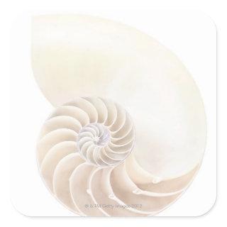Nautilus shell, close-up square sticker