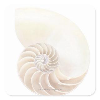 Nautilus shell, close-up square sticker