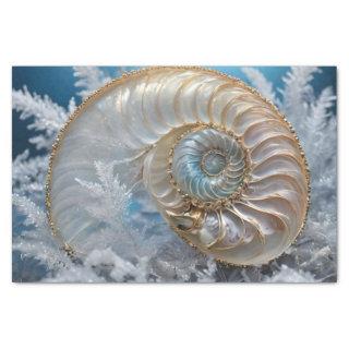 Nautilus Shell Inside Decoupage Tissue Paper