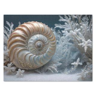 Nautilus Shell Inside Decoupage Tissue Paper