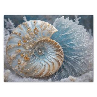 Nautilus Shell Inside Decoupage Tissue Paper