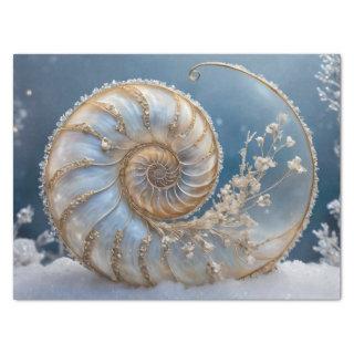 Nautilus Shell Inside Decoupage Tissue Paper