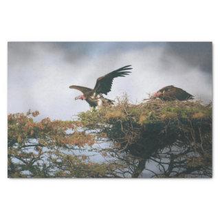 Nesting Vultures  Tissue Paper