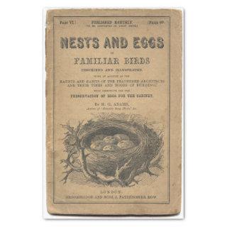 Nests and Eggs of Familiar Birds Tissue Paper