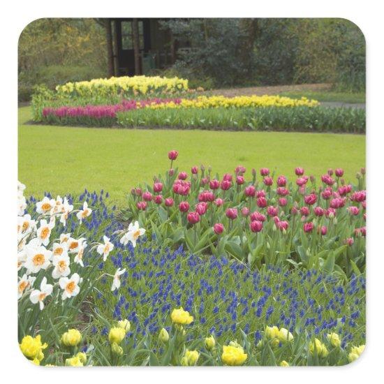 Netherlands aka Holland), Lisse. Keukenhof 5 Square Sticker