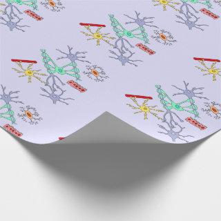 Neurons And Glia