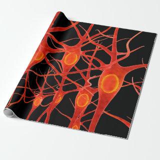 Neuronsneural,3d,anatomy,axon,bio,biological,biolo