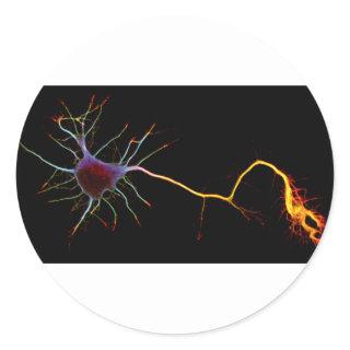 Neuroscience, neuron , science classic round sticker