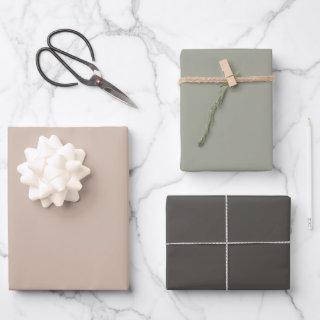 Neutral Color Palette  Set