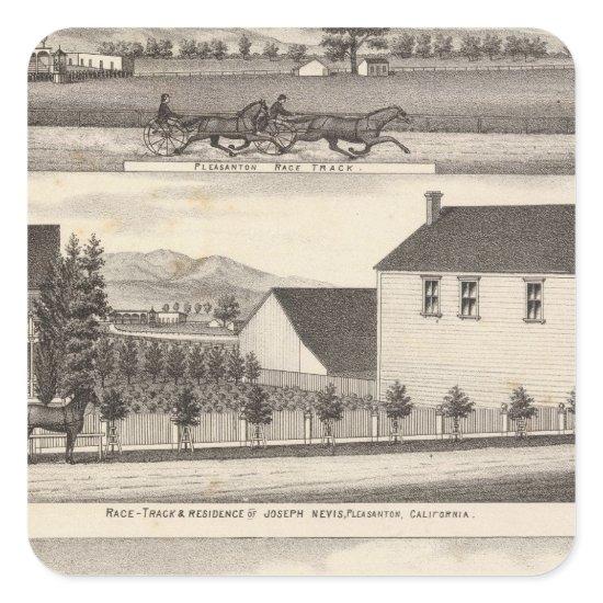 Nevis, Green residences, farms Square Sticker