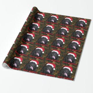 Newfoundland Dog Santa Hat