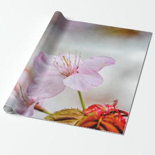 Nice Soft Pink Sakura Flower In Springtime