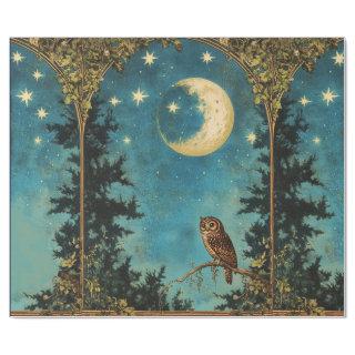 NIGHT OWL FULL MOON AND STARRY NIGHT