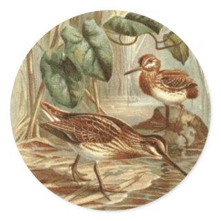 Normal Jack Snipe Sticker