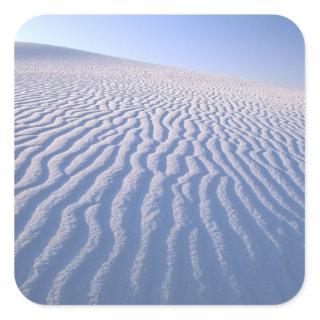 North America, USA, New Mexico, White Sand Dunes Square Sticker