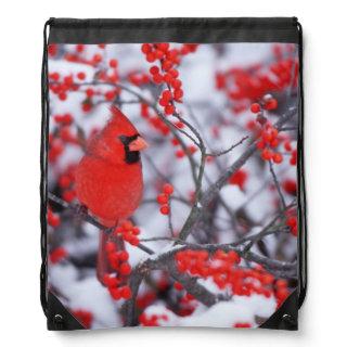 Northern Cardinal male, Winter, IL Drawstring Bag