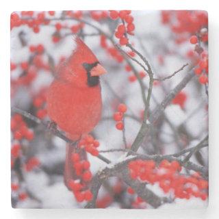 Northern Cardinal male, Winter, IL Stone Coaster