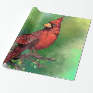 Northern Red Cardinal Bird