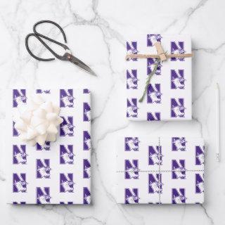 Northwestern University | Primary Logo  Sheets