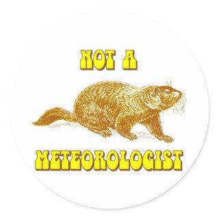 Not a Meteorologist Groundhog Classic Round Sticker