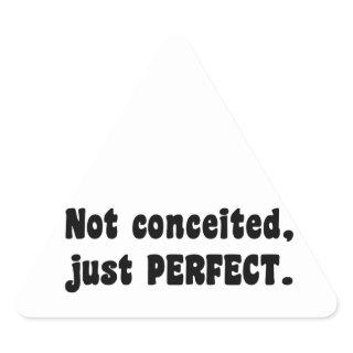 Not Conceited, Just Perfect Triangle Sticker