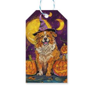 Nova Scotia Duck Toller Halloween Witch Pumpkin Gift Tags