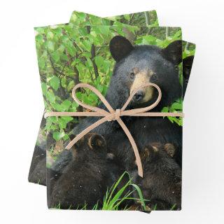 Nursing Black Bear and Twin Cubs   Sheets