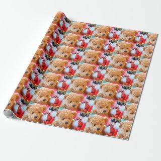 Nutcracker talks to teddy bear