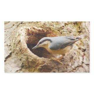 Nuthatch and Woodpecker Hole Sticker