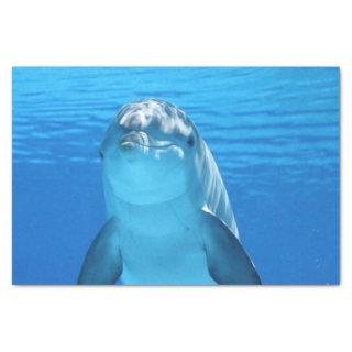 ocean dolphin tissue paper