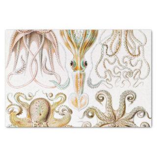 Octopus Squid, Gamochonia by Ernst Haeckel Tissue Paper