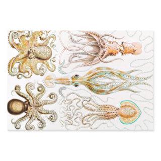 Octopus Squid, Gamochonia by Ernst Haeckel  Sheets