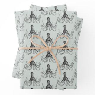 Octopus  Sheets