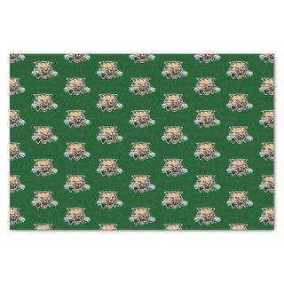 Ohio University Distressed Tissue Paper