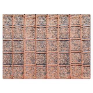 Old Beige Book Library Decoupage  Tissue Paper