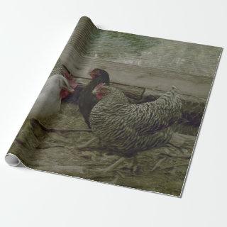 Old Vintage Barnyard Country Chicken