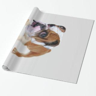 Olde English Bulldogge Puppy Bulldog Lover