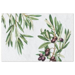 Olive Leaves Mediterranean Greek Island  Tissue Paper