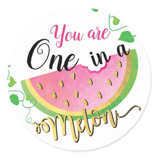 One in a Melon Birthday Watermelon stickers