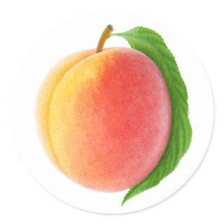 One peach with leaf classic round sticker