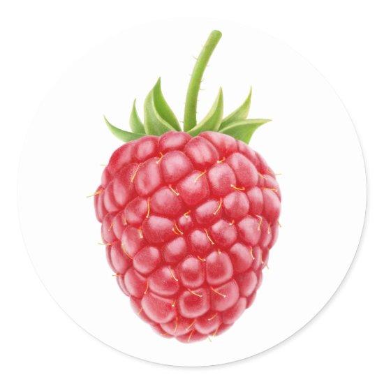 One raspberry classic round sticker