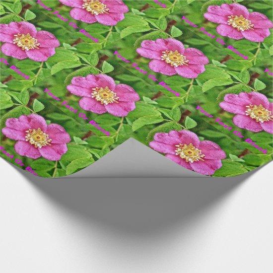 One Wild Rose