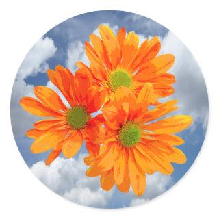Only 3 Gerbera Daisy Blossoms + your text & ideas Classic Round Sticker