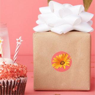 Orange Cape Daisy against Living Coral Background. Classic Round Sticker