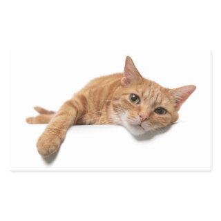 Orange Cat Laying Down Rectangular Sticker