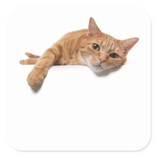 Orange Cat Laying Down Square Sticker