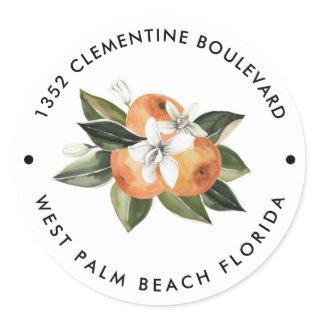 Orange Cutie Tangerine Return Address  Classic Round Sticker