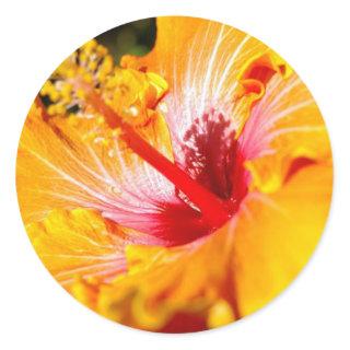 Orange Hibiscus Flower Side View Classic Round Sticker